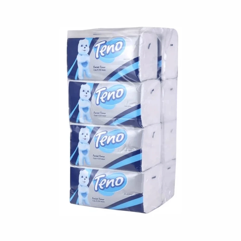 product_1723964585_8FNDZ دستمال کاغذی اکونومی تنو (8 عددی) - تصویر 1