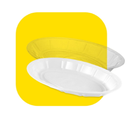 product_1727007661_V99YD دیس کوچک تخت نوین رویا پلیمر - تصویر 1