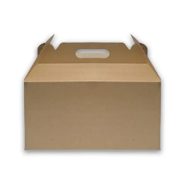 product_1763563674_XH8ZL جعبه کارتنی دیزی کد 0011 آذر شهاب - تصویر 1