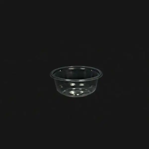 product_1768115268_QIFMU کاسه یکبار مصرف 1000 سی سی شفاف رادمان پلاستیک - تصویر 1
