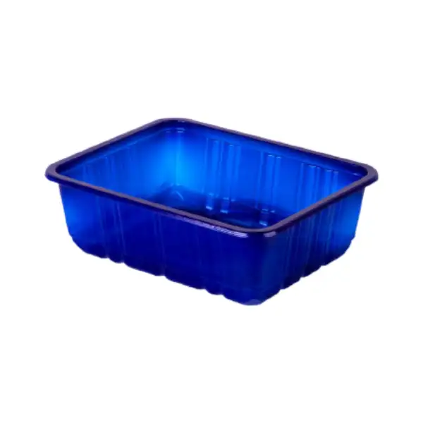 product_1768316208_6GKZO ظرف قارچی 6 سانت نوین رویا پلیمر - تصویر 1