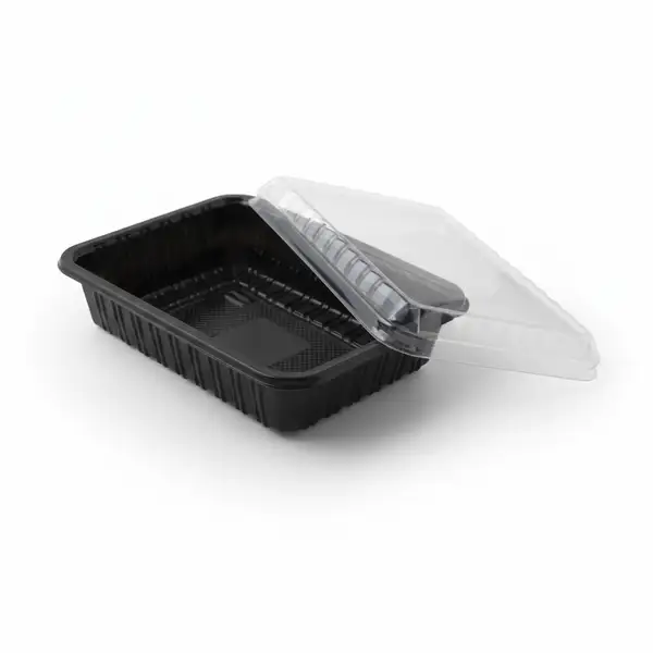 product_1769359780_96EIX ظرف یکبار مصرف TF 11 سپهر پلاست - تصویر 1